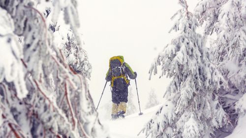 Schneeschuhwanderung Starter